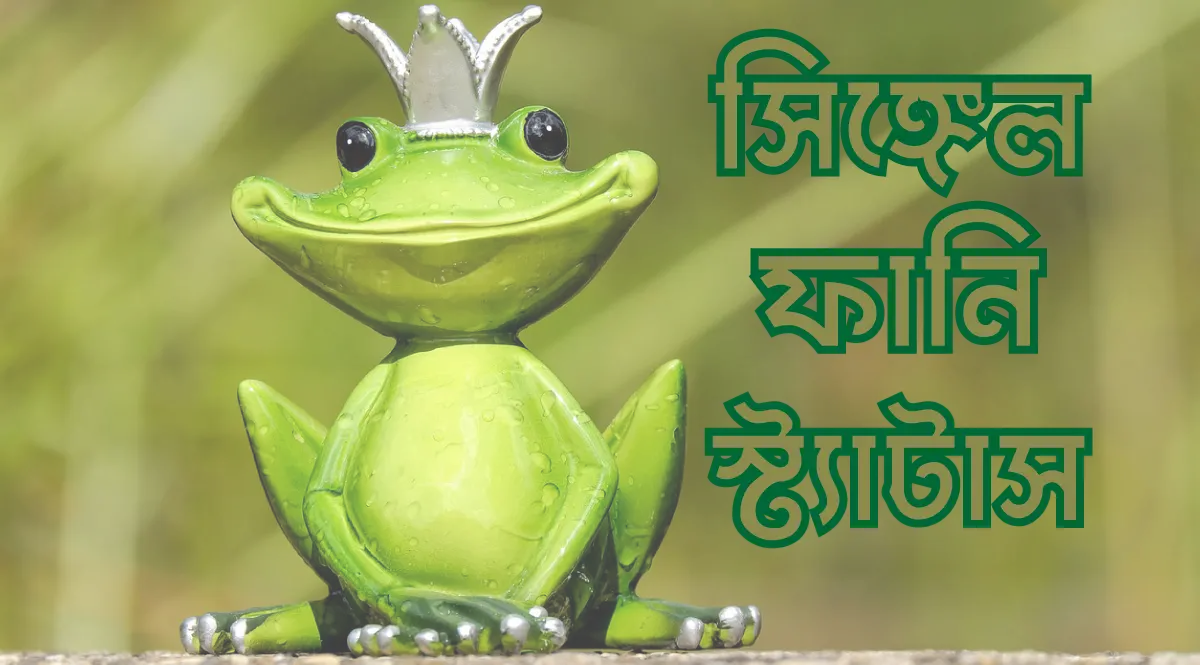 সিঙ্গেল ফানি স্ট্যাটাস