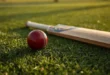 Cricket Tips
