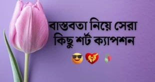 বাংলা শর্ট ক্যাপশন