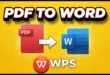 How to Use WPS Download