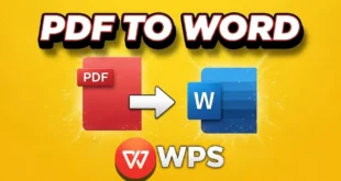 How to Use WPS Download